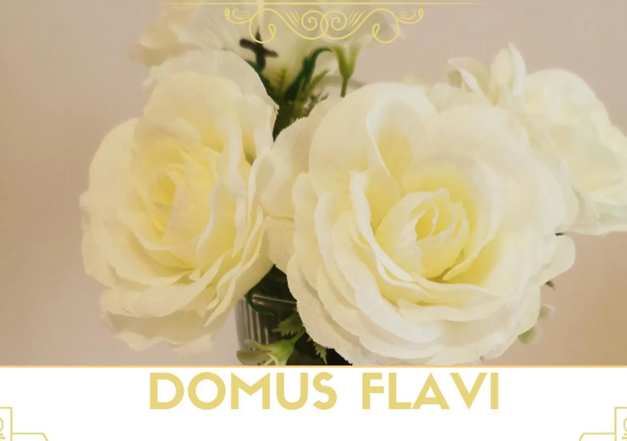 Domus Flavi Apartment Rome